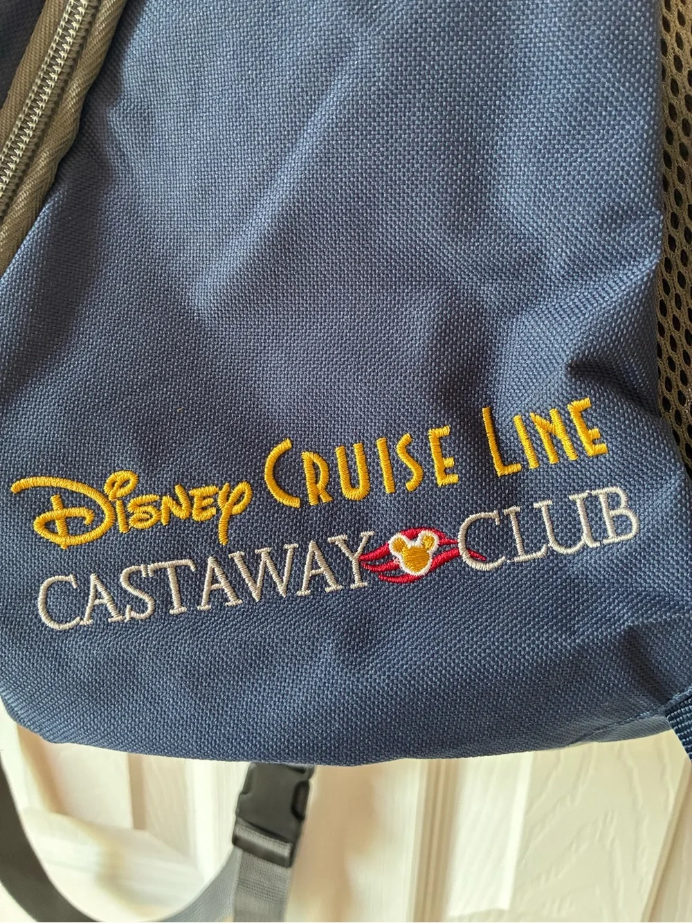 Disney Cruise Line official disney